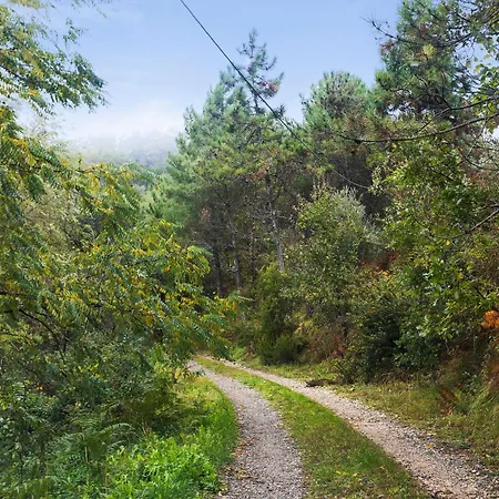 Casa Collicello Relax Camaiore