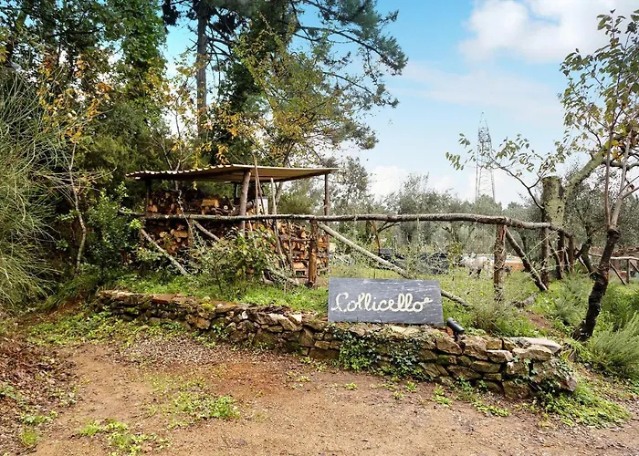 Casa Collicello Relax Camaiore