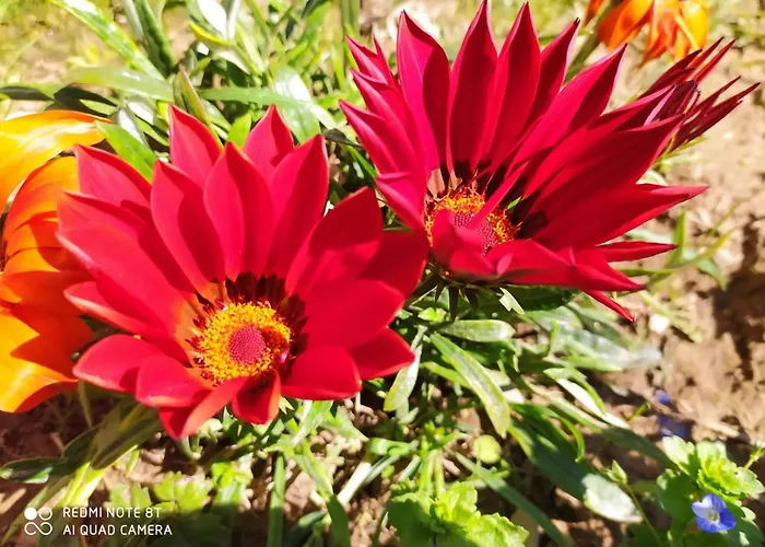 Casa Collicello Relax Prázdninový dům