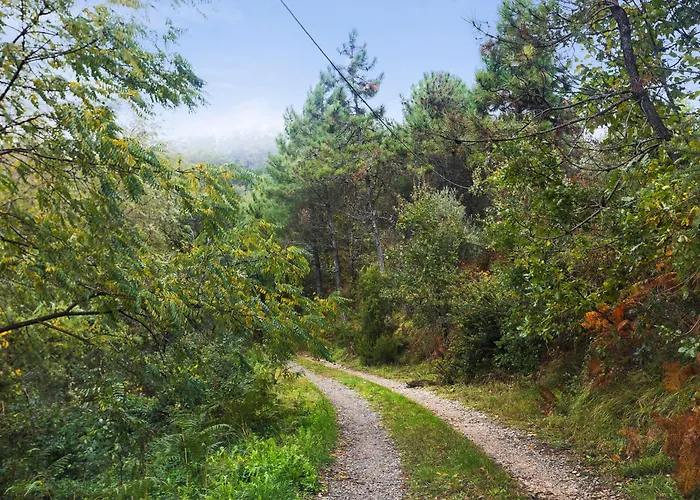 Casa Collicello Relax Camaiore